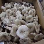 農産物直売所 こだま館 - 店内