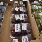 農産物直売所 こだま館 - 店内