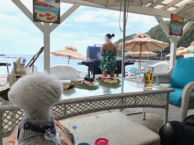 カメハメハ大王の渚 （Hawaiian Resort） - 三崎口/バーベキュー