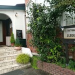 TRATTORIA ALBERO - 