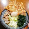 吉田のうどん とがわ