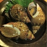 はんなり祇園 - 2012.7.7　愛媛の特大バイ貝の旨煮　480円