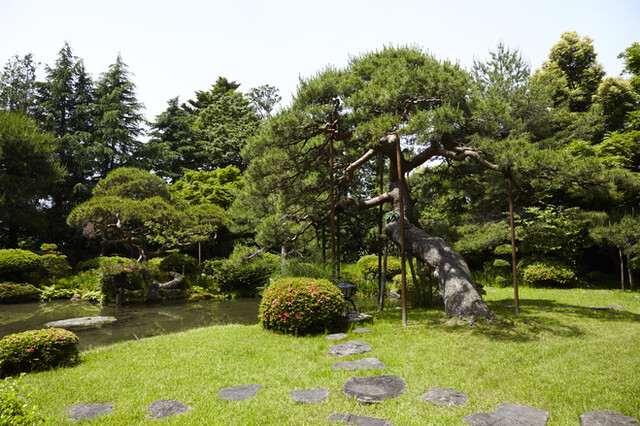 御料理　新茶屋 - 鶴岡（日本料理）の写真