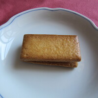 テラコヤ - TERAKOYA オリーブ・サンド　