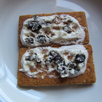 テラコヤ - TERAKOYA オリーブ・サンド　