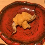 すし岩瀬 - シンイカのゲソとこのこ