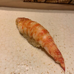 すし岩瀬 - 車海老