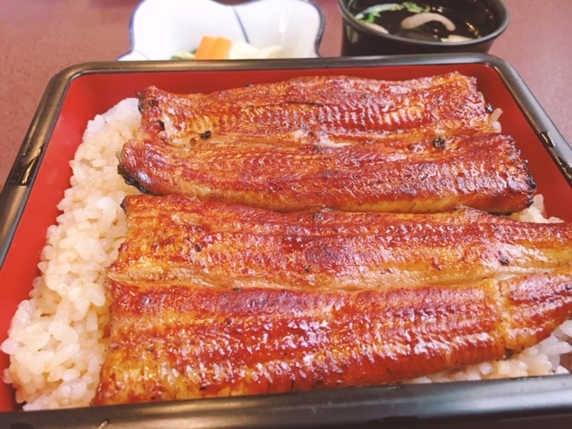 うな扇 福生 うなぎ 食べログ うな扇 福生 うなぎ 食べログ