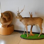 知床五湖パークサービスセンター - 