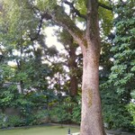 マノワール・ディノ - 