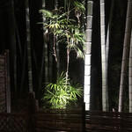 エルルカン・ビス - 