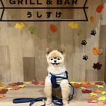 GRILL & BAR うしすけ - 