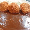 カランドリエ - ヒレカツカレー(サラダ付) ¥1250