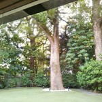 マノワール・ディノ - 