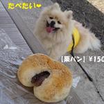 森のパンやさん - 栗パン 150円♨