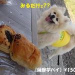 森のパンやさん - 薩摩芋パイ 150円♨