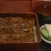 満寿家 - うな重上