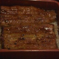 満寿家 - うな重上拡大