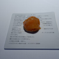 レスピラシオン - 