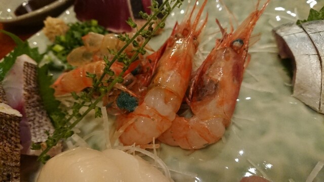 遊魚 和田丸 ゆうぎょ わだまる 神泉 魚介料理 海鮮料理 食べログ 遊魚 和田丸 ゆうぎょ わだまる 神泉 魚介料理 海鮮料理 食べログ