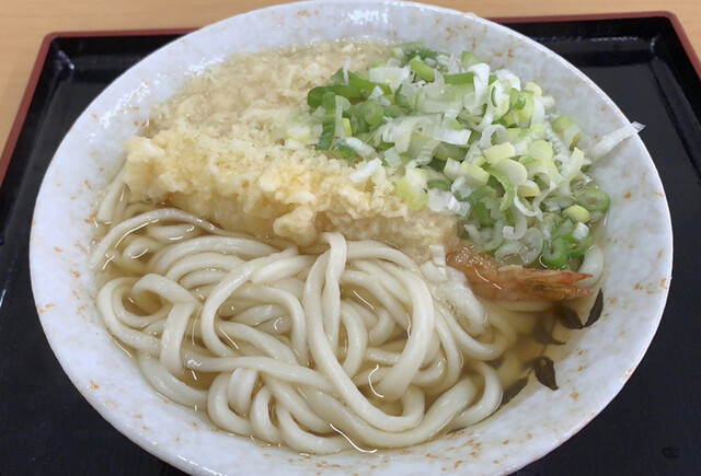 どなん 本郷店 田吉 うどん 食べログ どなん 本郷店 田吉 うどん 食べログ