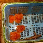 魚処　わき - 水槽