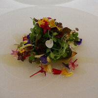 ARMONICO - 