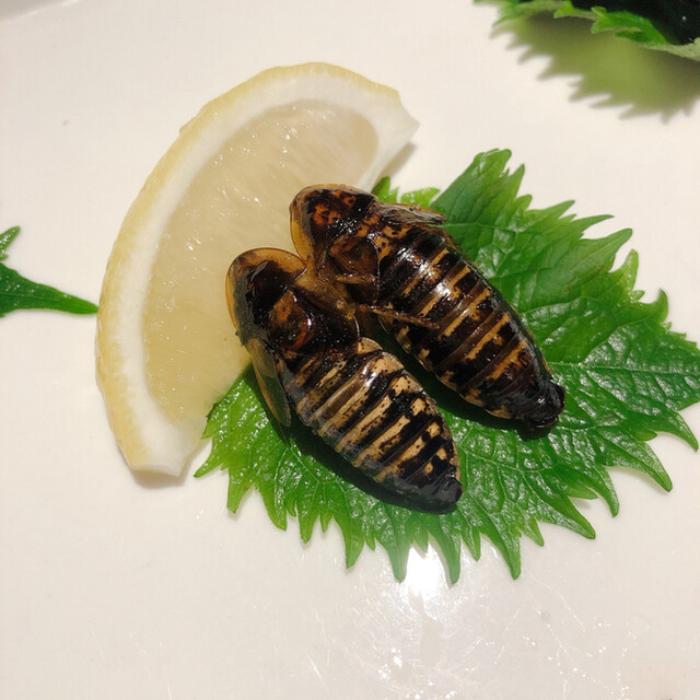 写真 5ページ目 珍獣屋 桜木町 居酒屋 食べログ 写真 5ページ目 珍獣屋 桜木町 居酒屋 食べログ