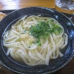 手打ちうどん 麺工棒 - かけうどん