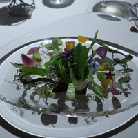 レフェルヴェソンス - 