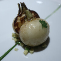 レフェルヴェソンス - 