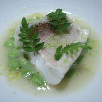 レフェルヴェソンス - 