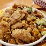 Ran Ran - Kara-age and Mapo Tofu Zone