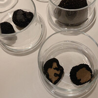 Terres de Truffes, Tokyo - 