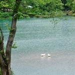 道の駅　いりひろせ - 「お店様」のベランダから見た景色です(7/8UP)