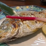 旬魚菜 しら川 - 