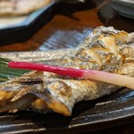 旬魚菜 しら川 - 