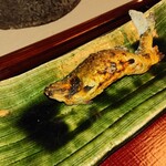 うかい鳥山 - 落ち鮎の塩焼き
