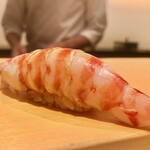 鮨 はしもと - 2020.8.  車海老