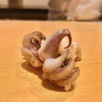 鮨 はしもと - 2020.8.  新烏賊の下足