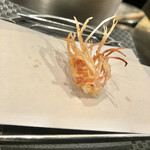 Tempura Urega - 