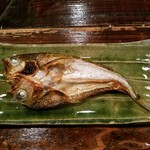 酒盃 - ハタハタ