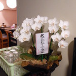 櫻島 - アンドレア　奥様よりお花