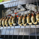 徳山鮓 - テラスでは鮎が焼かれてます！