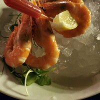 Bar&Lounge MAJESTIC -  Bar&Lounge MAJESTIC -