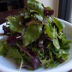ビーボ デイリースタンド - 「グリーンサラダ」；時にはほろ苦く、時にはスパイス感溢れる香りを愉しんで♪
