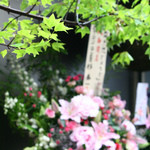 旨い料理・旨い酒 じょうじ - 新店