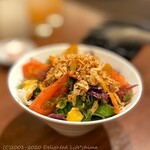 焼肉 乙ちゃん 目黒不動前店 - 乙ちゃんサラダ（780円税別）