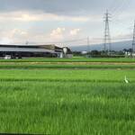 ビストロ セレニテ - 