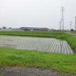 ビストロ セレニテ - 